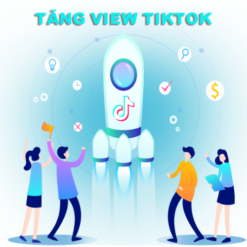 Dịch vụ tăng view Tiktok